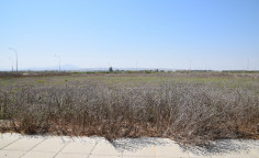 Residential 1000 m2 for sale in Perivolia, Larnaca