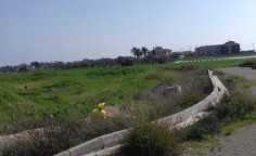 Residential 577 m2 for sale in Perivolia, Larnaca