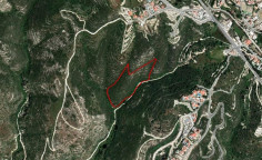 Residential 19064 m2 for sale in Tsada, Paphos