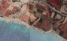 Field in Ormideia , Larnaca