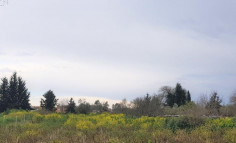 Residential 2007 m2 for sale in Polemi, Paphos