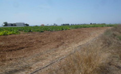 Luxury residential for sale in Softades, Larnaca