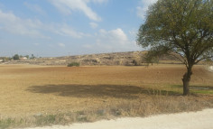 Residential 11605 m2 for sale in Ergates, Nicosia Residential 11605 m2 for sale in Ergates, Nicosia