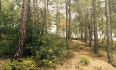 Residential 15523 m2 for sale in Moniatis, Limassol