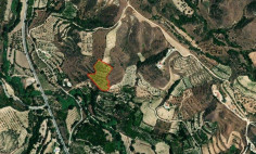 Agricultural plot of land , Paphos