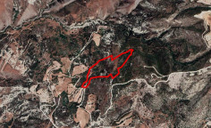 Land for sale in Akoursos, Paphos