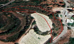 Residential 6412 m2 for sale in Tsada, Paphos