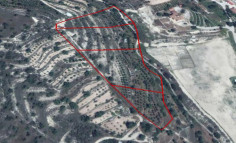 (agricultural) in Paramytha, Limassol for sale , Limassol