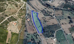 (agricultural) in Kalavasos, Larnaca for sale , Larnaca