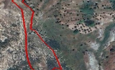 (agricultural) in Armou, Paphos for sale , Paphos