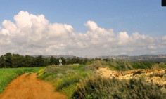 Residential 23293 m2 for sale in Mandria, Paphos