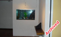 3 bedroom furnished apartment with swimming pool to rent in Agias Zonis