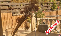 3 bedroom furnished house with swimming pool to rent in Tala