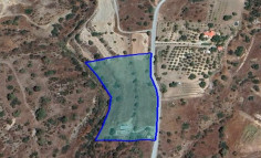 Land 9758 m2 for sale in Pyrgos, Limassol