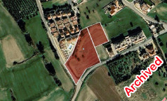 Field in Mazotos, Larnaca , Larnaca