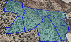 Land 45000 m2 for sale in Pyrgos, Limassol