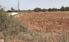 17,253m2 land for sale in Avgorou 