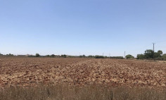17,253m2 land for sale in Avgorou 