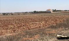 17,253m2 land for sale in Avgorou 