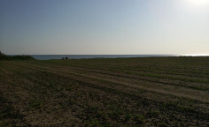 Land in Softades walking distance from the beach , Larnaca
