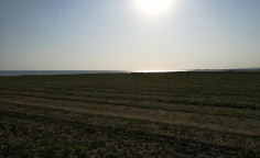 Land in Softades walking distance from the beach , Larnaca