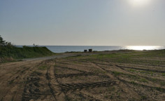 Land in Softades walking distance from the beach , Larnaca