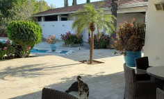House (detached) in Agios Andreas, Nicosia for sale 