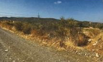 Field 4015m2 in Skarinou 