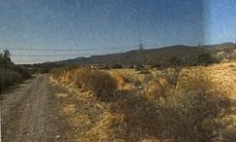 Field 4015m2 in Skarinou 