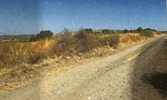 Field 4015m2 in Skarinou 