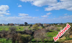 3 bedroom + apartment detached house in Emba 