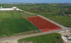 Field in Ormideia, Larnaca , Larnaca
