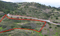 Field in pano Pyrgos, Nicosia , Limassol