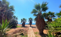 For bedroom house for sale in Paralimni