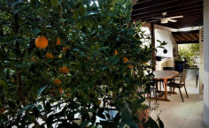 3 bedroom house for sale in Makedonitissa