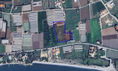 Large Maroni field with sea view for sale , Larnaca Large Maroni field with sea view for sale , Larnaca