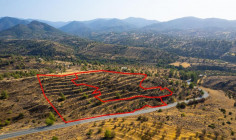 Fields in Agia Marina xyliatou, Nicosia 