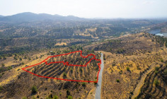 Fields in Agia Marina xyliatou, Nicosia 