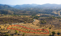 Field in Agia Marina xyliatou, Nicosia 