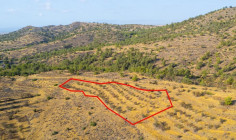 Field in Agia Marina xyliatou, Nicosia 