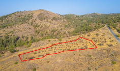 Field in Agia Marina xyliatou, Nicosia 