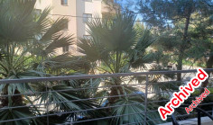Spacious 1 bedroom apartment to rent in Engomi