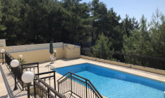 Spacious Platres villa with pool on large plot 