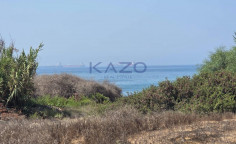 Large 4014m2 field for sale in Maroni village , Larnaca