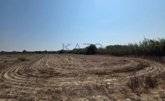 Large 4014m2 field for sale in Maroni village , Larnaca Large 4014m2 field for sale in Maroni village , Larnaca