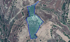 Land in Dora, Limassol , Limassol