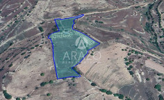 Land in Dora, Limassol , Limassol