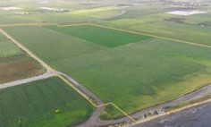 Z1 & t2a land for sale in Softades of Kiti Larnaca , Larnaca