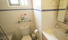 Spacious 2 bedroom house for sale in Agia Thekla