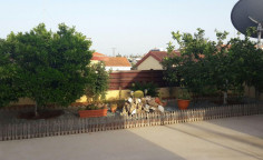 Spacious 2 bedroom house for sale in Paralimni
